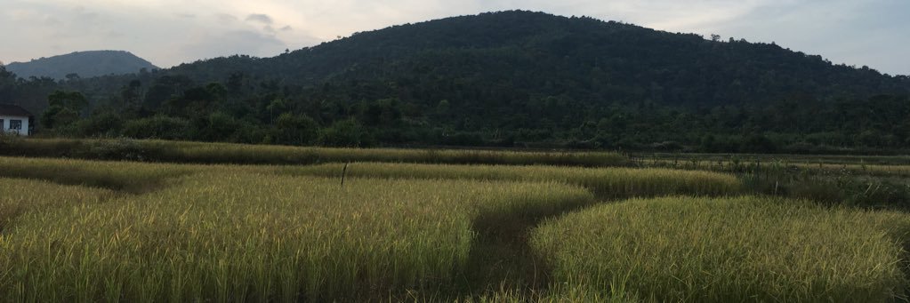 suhasv95's profile banner image