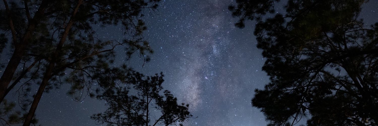 antjourney's profile banner image