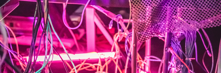 Apollo Rojas banner