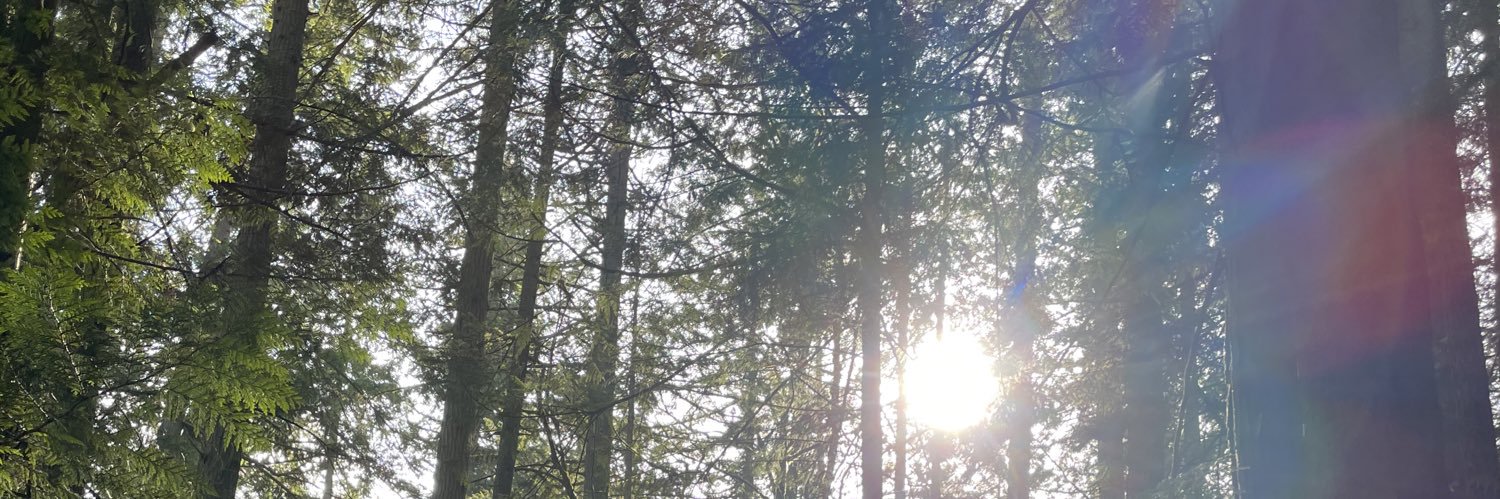 jjessietaylor's profile banner image