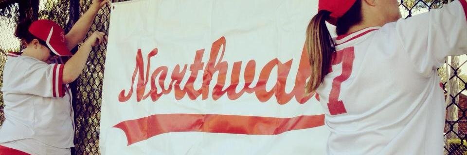 NvaleSoftball's profile banner image