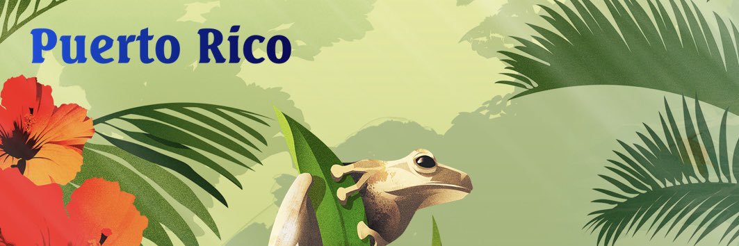 NexusOsiris's profile banner image