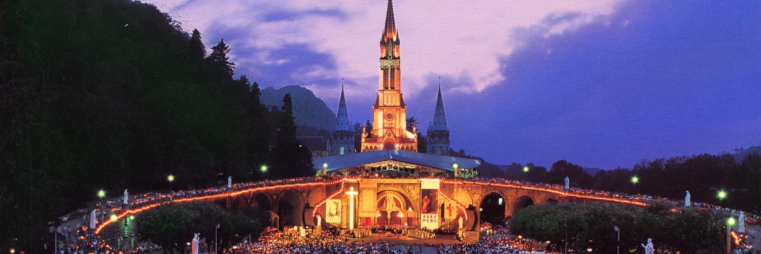 Society of Our Lady of Lourdes banner