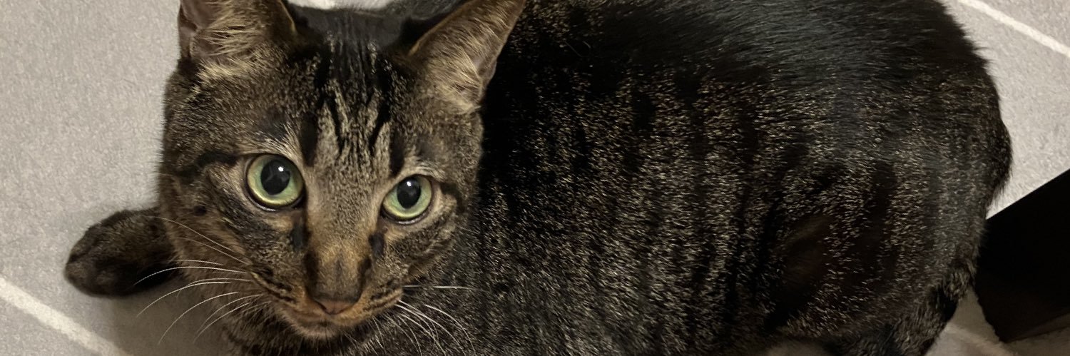 ManamiSnoopy's profile banner image