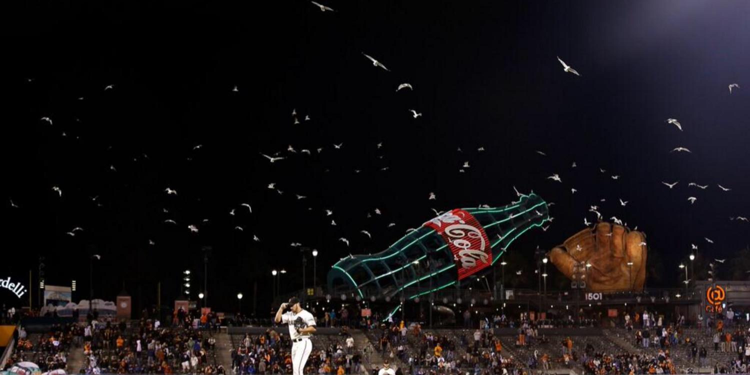 Giants_Ho0's profile banner image