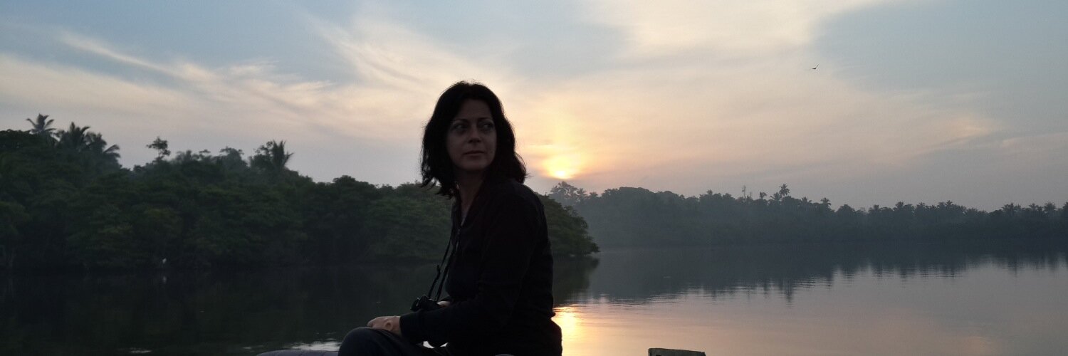 SignorinaZeta's profile banner image