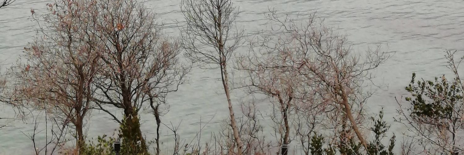 EmlyGs's profile banner image