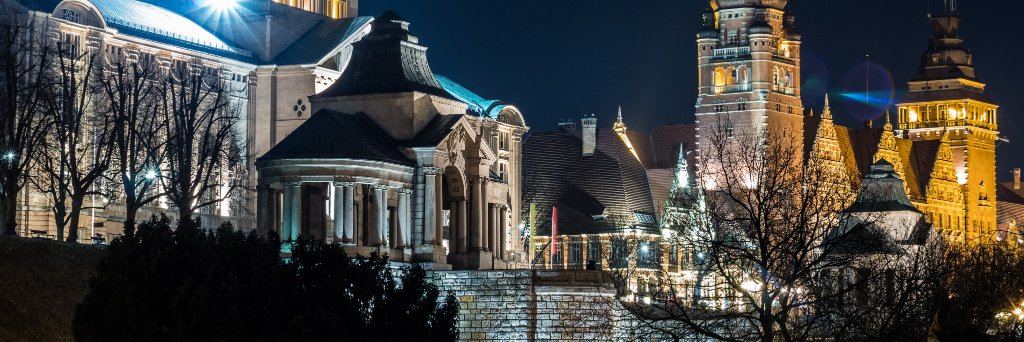 Bartek Witkowski banner