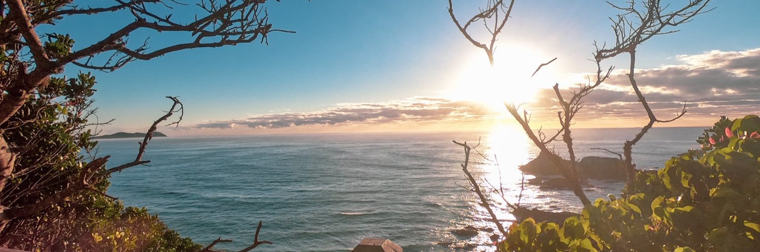 lucy_hadfield's profile banner image