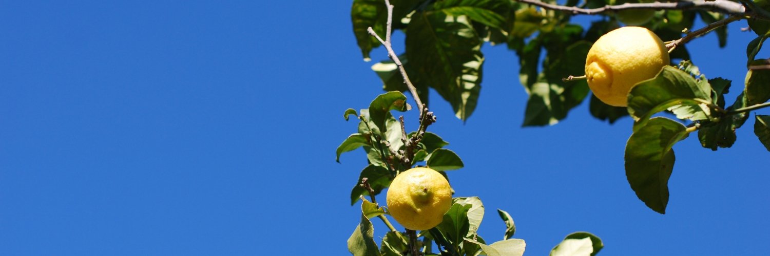 kochtopf's profile banner image