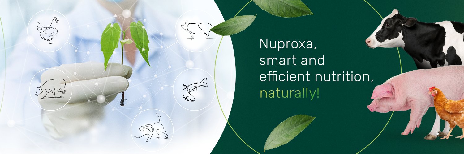 nuproxa's profile banner image