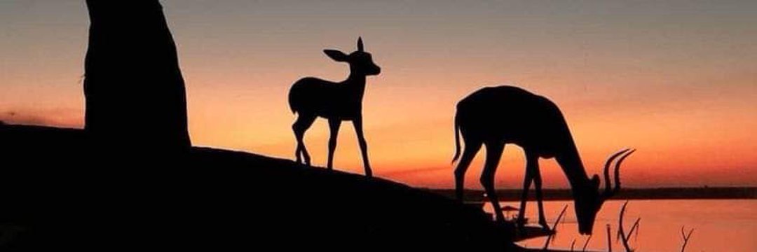 Ahmed4twitte's profile banner image