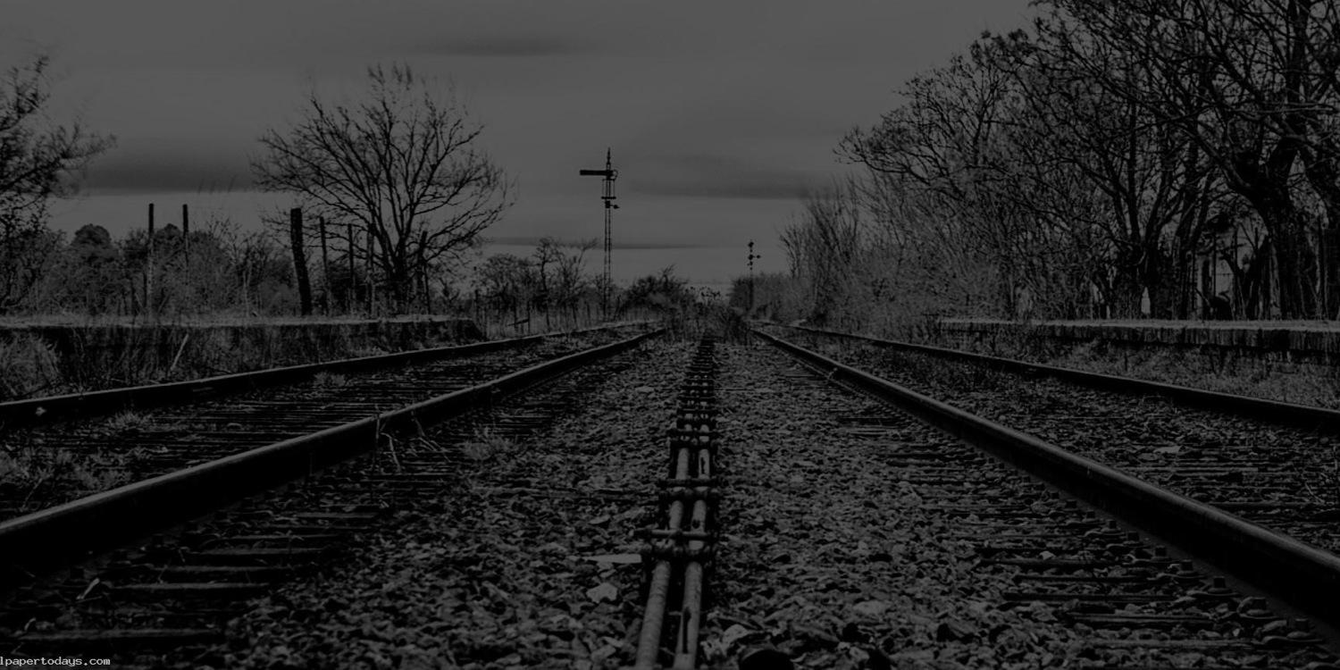 LittleMrsBizzle's profile banner image