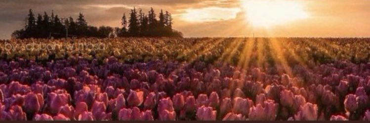 iAn4__'s profile banner image