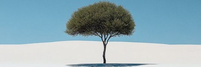 Libardo José Blanco banner