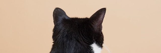 mierawee's profile banner image