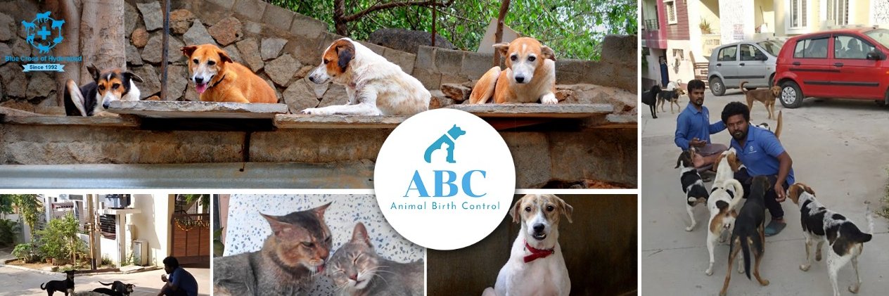 Blue Cross Hyderabad banner