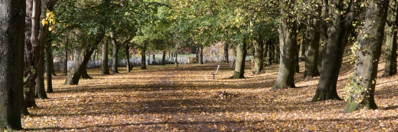 Michael McGrath banner