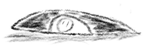 morokosidaze's profile banner image