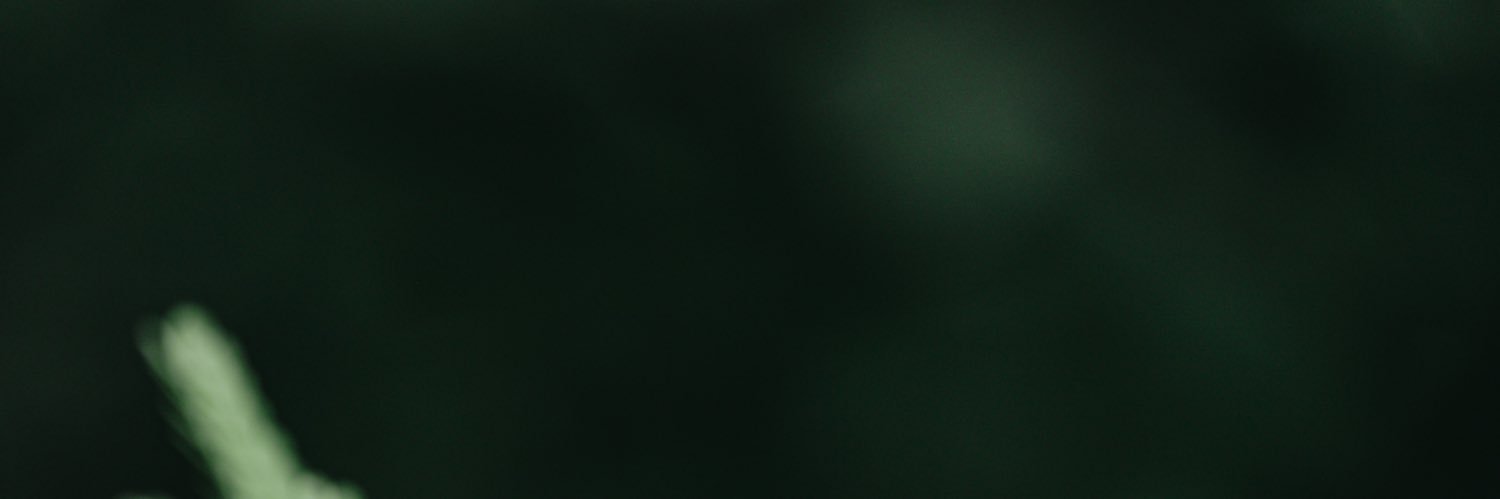 spng_patrick's profile banner image
