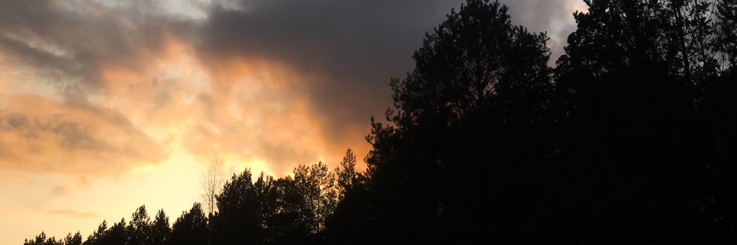 FOX_vladislava's profile banner image
