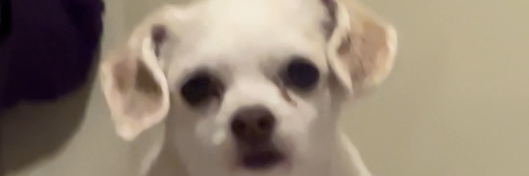 LiamAbell's profile banner image