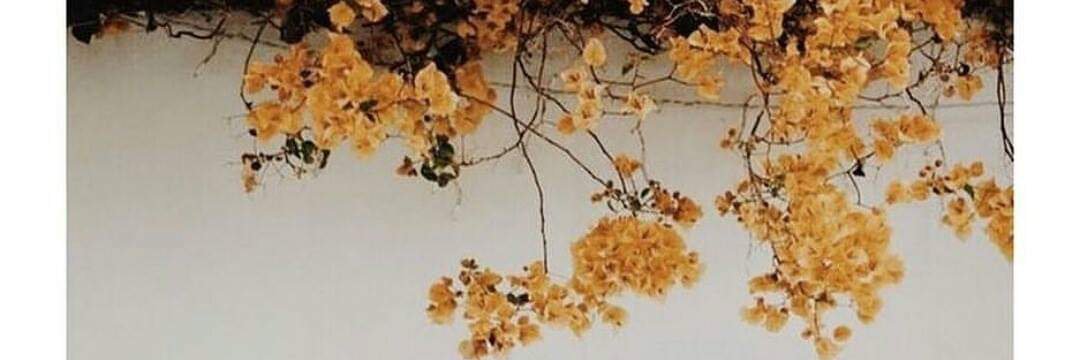 abu_caca_'s profile banner image