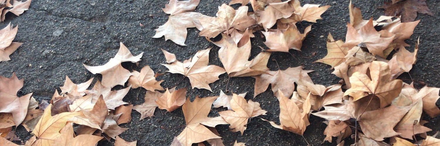 Vitória Machado banner