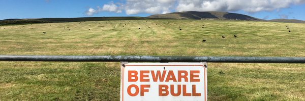 MoiraDillon_ME Profile Banner