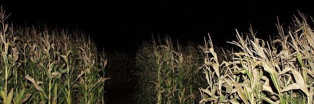 drjcrane_'s profile banner image