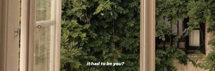 delightcoconutt's profile banner image