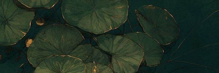 pisutatio62's profile banner image
