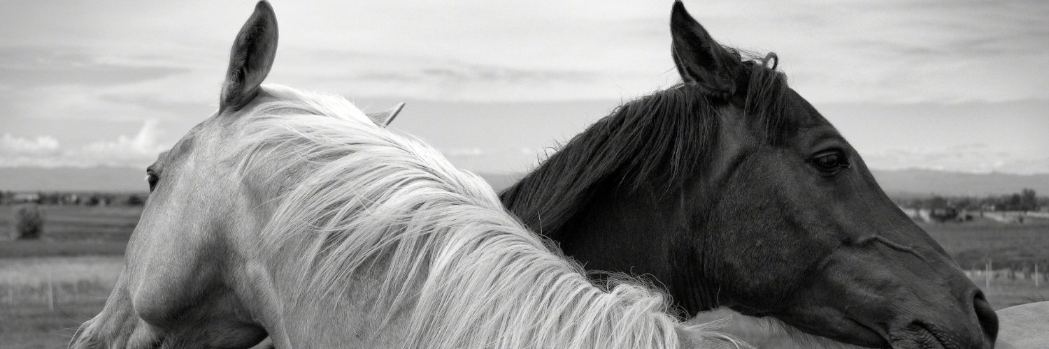 annily4's profile banner image