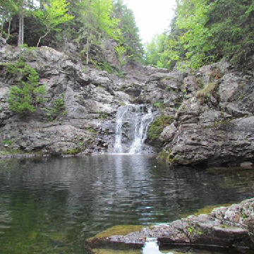Ernie Steeves banner