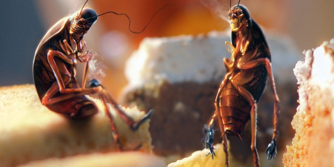 ImVeryDirtyCockRoach banner