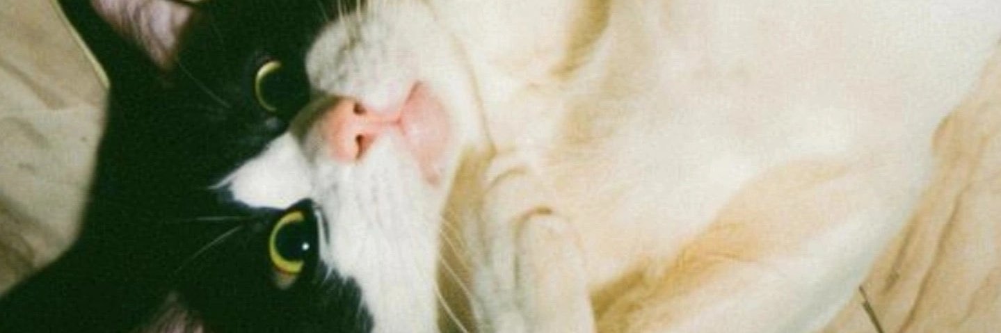 ohnomiguelito's profile banner image
