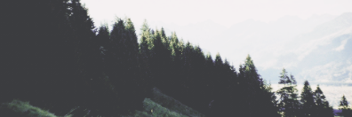 juslimitfsogdr's profile banner image