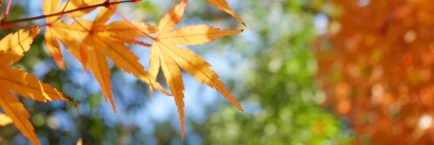teekleeeeee's profile banner image