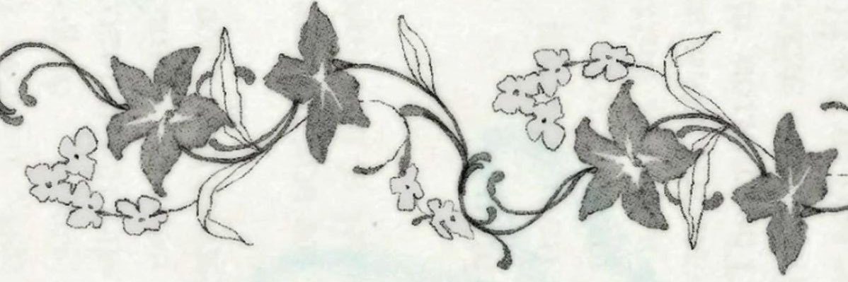 sofiacallejac's profile banner image