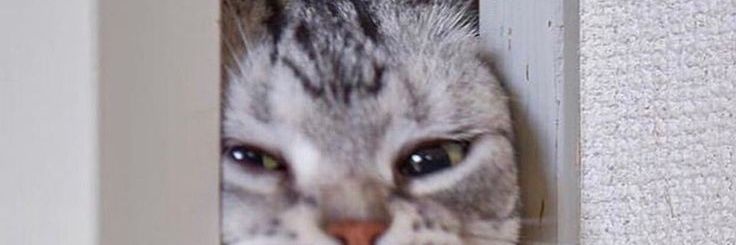 syahrh_n's profile banner image