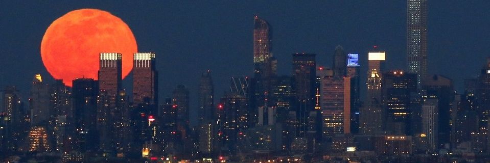 NKTSAF's profile banner image
