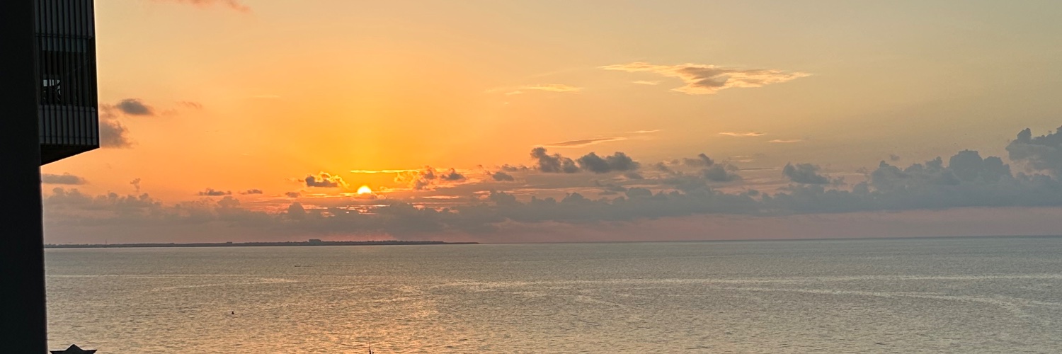 safb__'s profile banner image