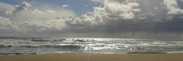 anachevalier Profile Banner