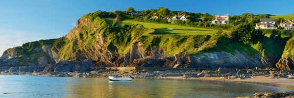devonbusiness's profile banner image