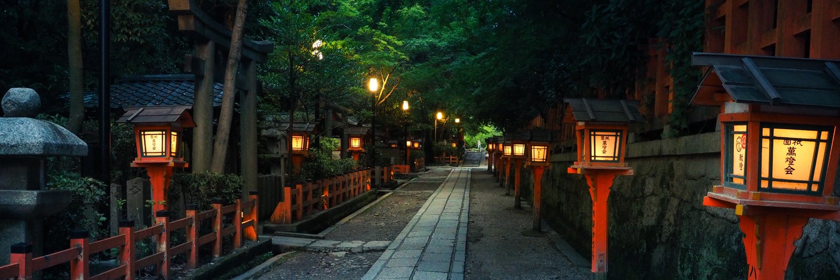 Liisa Stenberg banner