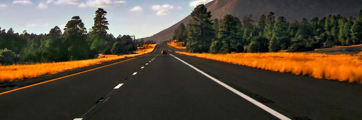 OneFastCat's profile banner image