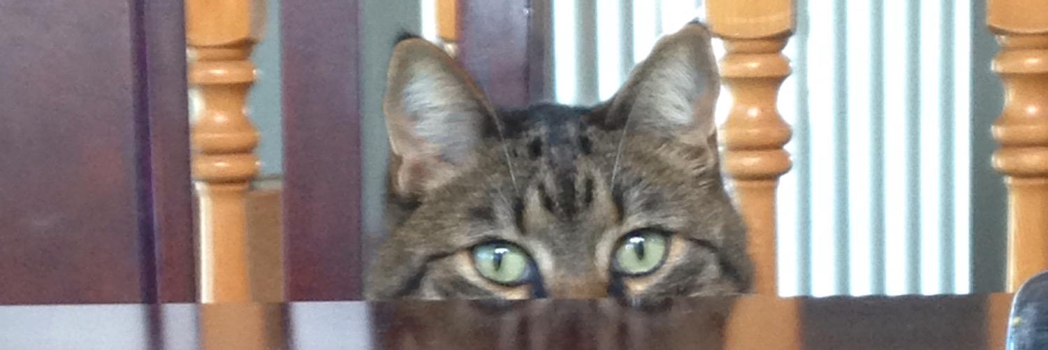 blindangie's profile banner image