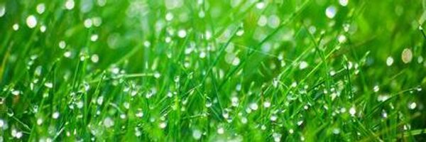 irriframe Profile Banner