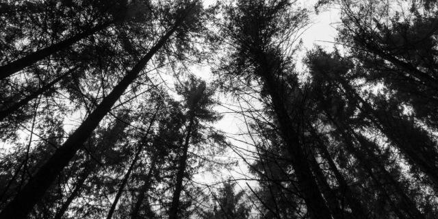 emmasonicboom's profile banner image