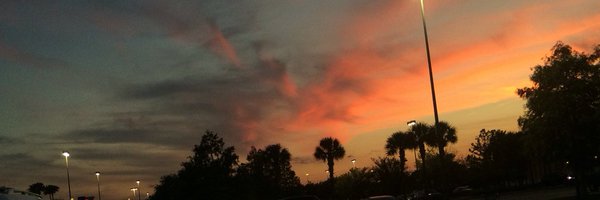 rinzsu Profile Banner